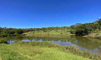 Imagem 3: Fazenda 25 alqueires em Cocalzinho - Go
