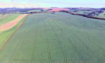 Imagem 4: Fazenda/Sítio/Chácara para venda com 66000 metros quadrados em Zona Rural - Marau - RS