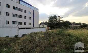 Imagem 4: Casa à Venda - Salgado Filho, 415 m²