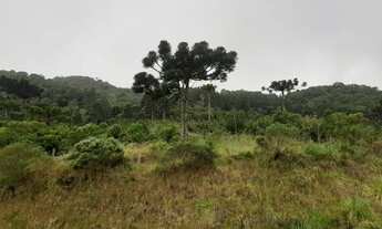 Imagem 3: Área em Rancho Queimado SC