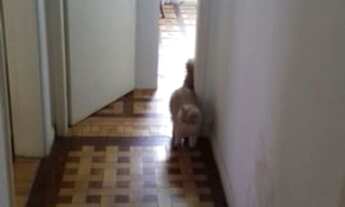 Imagem 6: Porto Alegre - Apartamento Padrão - Cidade Baixa