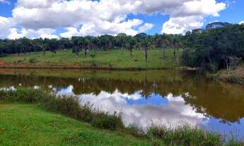 Imagem 2: Fazenda 25 alqueires em Cocalzinho - Go