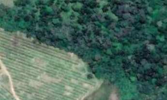 Imagem 2: Terreno rural Terreno / lote com venda por R$220.000