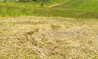 Imagem 7: Desapego agora desses terrenos em Cotia!