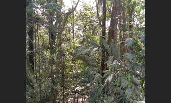 Imagem 5: Terreno à venda, 1027 m² - Balneária - São Bernardo do Campo/SP