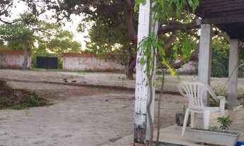 Imagem 2: Vendo ou troco Sitio próximo a Praia da caponga