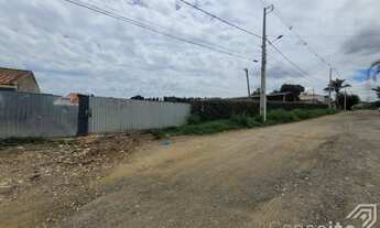 Imagem 2: Barracão - Bairro Boa Vista