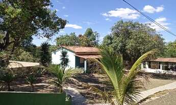 Imagem 5: Sitio de 4 hectares Toda Formada, Muita Água, Localizado no Santo Antônio do Descoberto