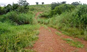 Imagem 3: Fazenda 481 alqueires 48 km de Santa Maria Tocantins