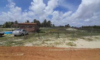 Imagem 2: Terreno em zumbi