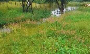 Imagem 4: Chácara à venda