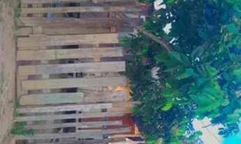 Imagem 4: Venda Casa com 4 dormitórios