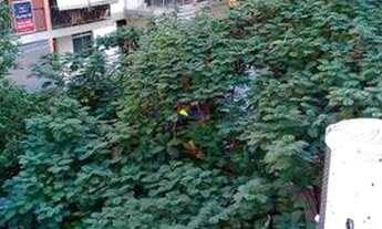 Imagem 2: RIO DE JANEIRO - Apartamento Padrão - GLÓRIA