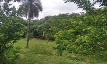 Imagem 5: Chácara a 5min Parque do Peão Barretos