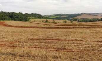 Imagem 3: Sítio com 16,41 hectares (6,78 alqueires) em Ibiporã, área de plantio, 100% mecanizado