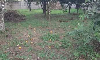 Imagem 5: Chacrinha - Terreno com 1.000 m2 Sta Tereza