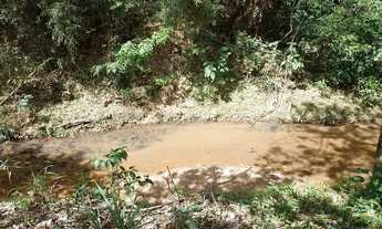 Imagem 4: EXCELENTE CHÁCARA