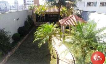 Imagem: São Paulo - Casa Padrão - Vila Carrão