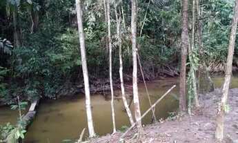 Imagem: Sítio no Rio Preto da Eva próximo à Manaus