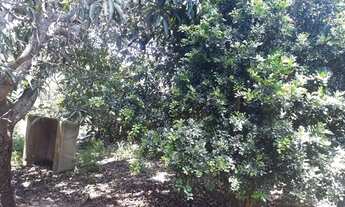 Imagem: Terreno/Casa em Cabo Frio