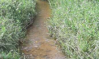 Imagem 7: VALLE DAS VIDEIRAS ( ZONANORTE