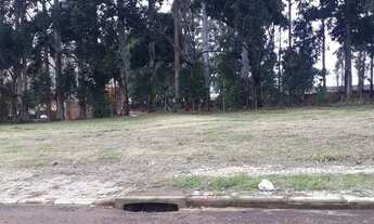 Imagem 4: Terreno bem localizado