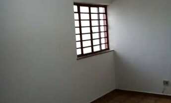 Imagem 7: Apto padrão aluga-se