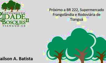 Imagem 4: Lote Tianguá - CE