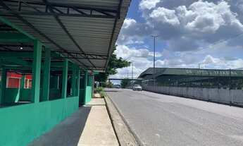 Imagem 4: Ponto Comercial - Peixaria