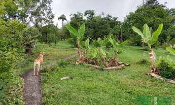 Imagem 6: Mairinque - Chácara