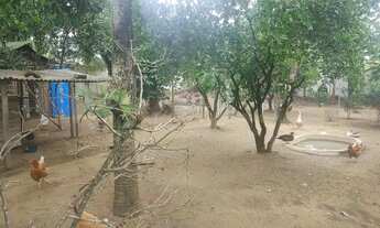 Imagem 7: Casa para venda com 60 metros quadrados com 2 quartos em São José do Imbassaí - Maricá - R