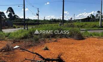 Imagem 3: Terreno no São José