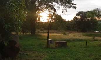 Imagem 5: Vendo ótimo sítio ESCRITURADO E REGISTRADO em nova Petrópolis