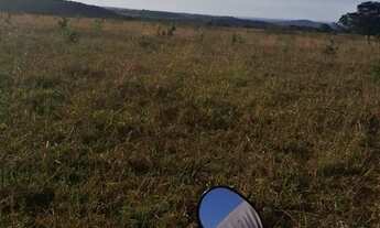 Imagem 4: Fazenda arrendamento pra GADO, 239 alqueires em Doverlândia Go. R$:350 mil por ano