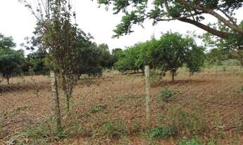 Imagem 4: Vendo Chácara 64 - Cascalheira - área total de 19.534.272 m²