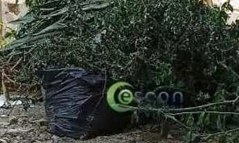 Imagem 10: Terreno à venda, 396 m² por R$ 800.000,00 - Cancelli - Cascavel/PR