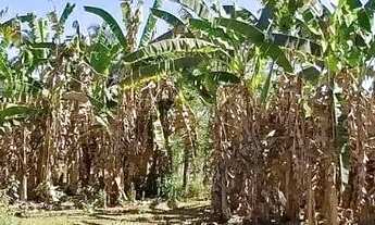 Imagem 4: Chácara à venda, Vila Jardim São Judas Tadeu, Goiânia, GO