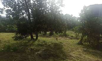 Imagem: Lote rancho Corumbá 3