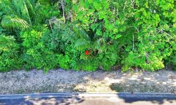 Imagem 2: Alphaville II Lote 477m² Ponta Negra !