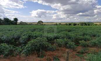 Imagem 3: Área Rural Para venda no Monte Alegre