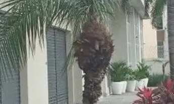 Imagem 4: Apartamento para Venda em Niterói, SÃO DOMINGOS, 3 dormitórios, 1 suíte, 2 banheiros, 1 va