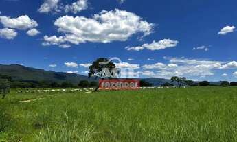 Imagem 3: Fazenda 363 alqueires ( 1.760 hectares ) Colinas do Sul-GO