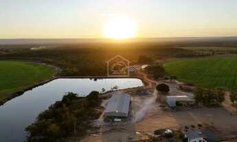 Imagem: ARINOS MINAS GERAIS FAZENDA PRONTA PARA