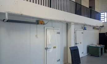 Imagem 5: Barracão com câmaras frigoríficas próximo Rod. D. Pedro