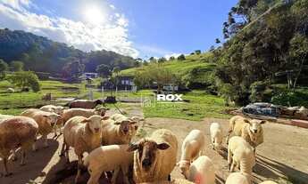 Imagem 5: Chácara/Sítio com 192.000 m² por R$ 2.500.000 - Bocaíuva do Sul /PR