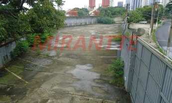 Imagem 3: Terreno em Várzea da Barra Funda