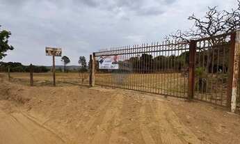 Imagem 5: Chácara Núcleo Rural Boa Esperança - Ceilândia, 35.000 m²!