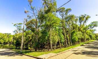 Imagem 6: TERRENO COM PARCELAMENTO DIRETO EM ATÉ 60X