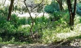 Imagem: Lote - Terreno à venda, Distrito Industrial