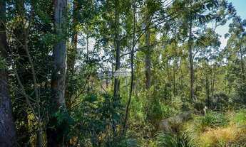 Imagem 5: Vendas Terreno Curitiba PR